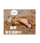 wishだよ☺️（個別スタンプ：39）