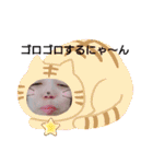 ごめんなーい（個別スタンプ：10）