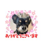 ぽてちcollection（個別スタンプ：14）