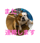 大好き金太郎3（個別スタンプ：3）