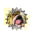 大好き金太郎3（個別スタンプ：7）