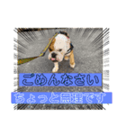 大好き金太郎3（個別スタンプ：13）