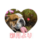 大好き金太郎3（個別スタンプ：19）