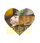 大好き金太郎3（個別スタンプ：20）