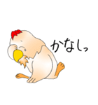 ひげ地鶏（個別スタンプ：12）
