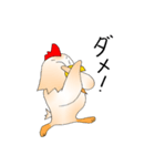 ひげ地鶏（個別スタンプ：21）