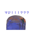 緑茶のお気持ち表明（個別スタンプ：34）