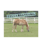 代弁どうぶつ。（個別スタンプ：4）