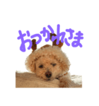 Cocoa.2（個別スタンプ：6）