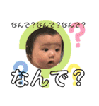 こたんぷ☆②（個別スタンプ：1）