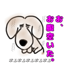 うちのアズキさん（個別スタンプ：13）