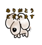 うちのアズキさん（個別スタンプ：16）