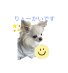 ゆずくんたち（個別スタンプ：1）
