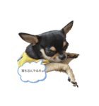 ゆずくんたち（個別スタンプ：3）