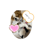 ゆずくんたち（個別スタンプ：8）