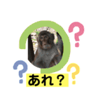 かずおみ'sスタンプ（個別スタンプ：3）