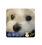 めりるでち❤️20210322（個別スタンプ：3）