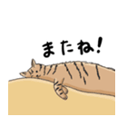 キジトラのみんちゃん（個別スタンプ：8）