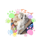 yukitiくん（個別スタンプ：5）