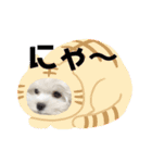 yukitiくん（個別スタンプ：19）