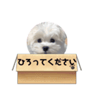 yukitiくん（個別スタンプ：21）