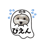 yukitiくん（個別スタンプ：24）