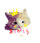 a-0008（個別スタンプ：1）