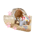 a-0008（個別スタンプ：2）