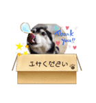 a-0008（個別スタンプ：4）