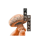 ボクの愉快な仲間達。（個別スタンプ：26）