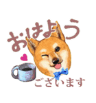 【柴犬】動く！ペットたち（個別スタンプ：3）