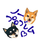 【柴犬】動く！ペットたち（個別スタンプ：10）