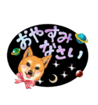 【柴犬】動く！ペットたち（個別スタンプ：11）