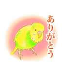 黄色と緑のセキセイインコ、ミントくん 2（個別スタンプ：1）