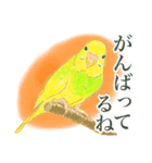 黄色と緑のセキセイインコ、ミントくん 2（個別スタンプ：4）