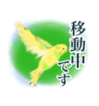 黄色と緑のセキセイインコ、ミントくん 2（個別スタンプ：7）
