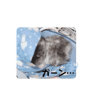 おいらモカ（個別スタンプ：2）