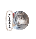 おいらモカ（個別スタンプ：4）