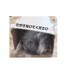 おいらモカ（個別スタンプ：6）