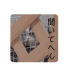 おいらモカ（個別スタンプ：8）
