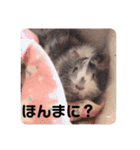 おいらモカ（個別スタンプ：9）