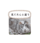 おいらモカ（個別スタンプ：11）