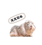 おいらモカ（個別スタンプ：16）
