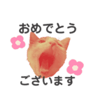 ねこのスタンプ(家族用)（個別スタンプ：10）