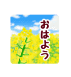 春の花咲く デカ文字バージョン（個別スタンプ：6）