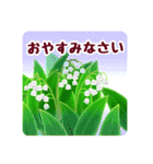 春の花咲く デカ文字バージョン（個別スタンプ：19）