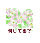 春の花咲く デカ文字バージョン（個別スタンプ：21）