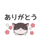 ねこのラグちゃん【家族と使える！】（個別スタンプ：1）