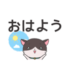 ねこのラグちゃん【家族と使える！】（個別スタンプ：6）