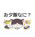 ねこのラグちゃん【家族と使える！】（個別スタンプ：22）